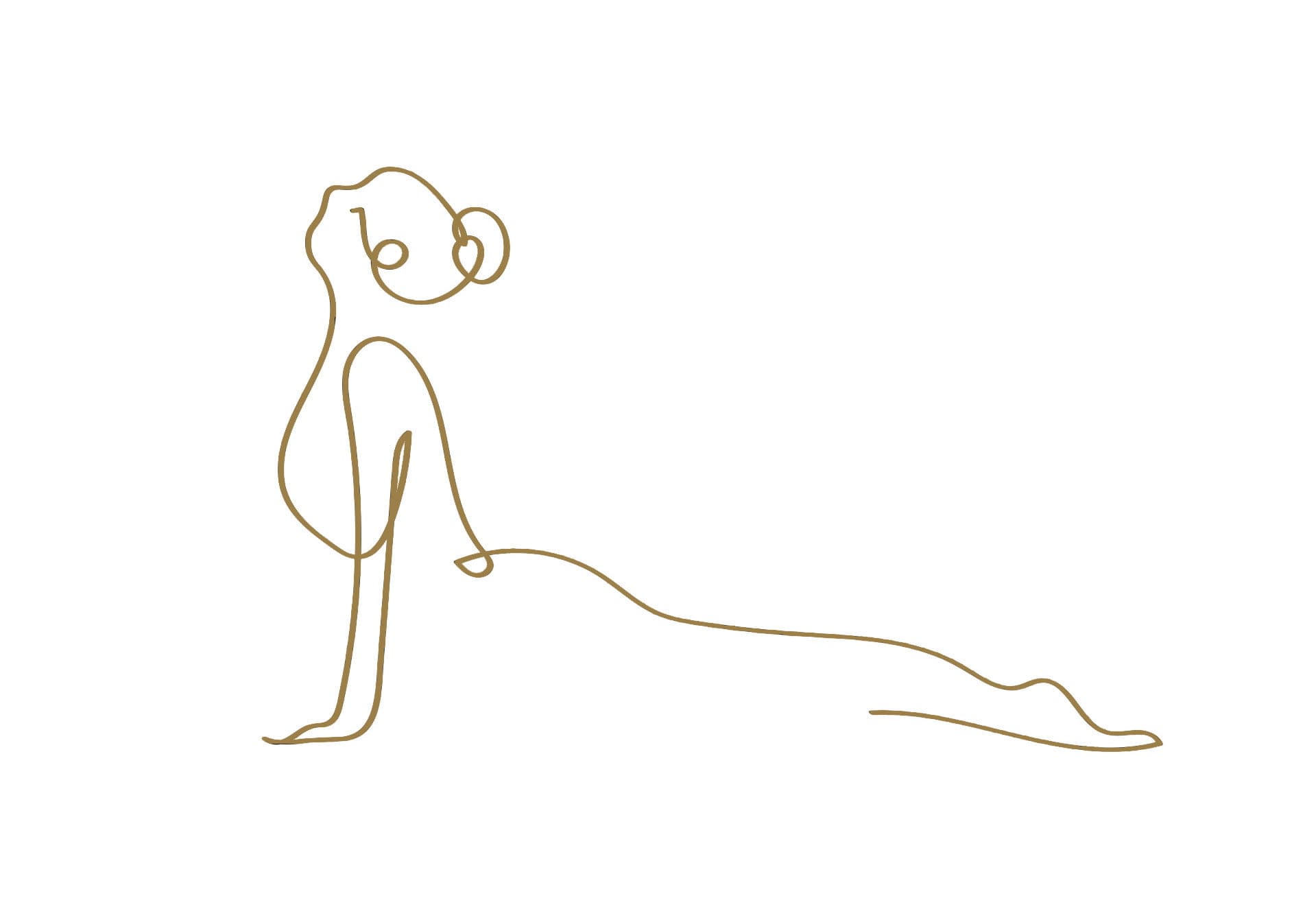 Yoga IYENGAR Barcelona-Centre ZAMA IOGA IYENGAR Les Corts