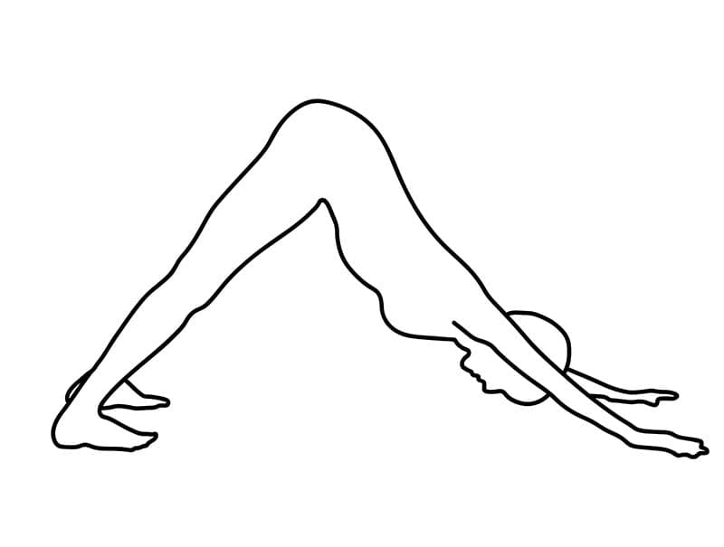 Qué es el Vinyasa en la práctica del Yoga