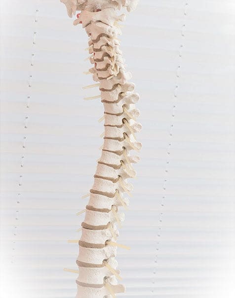 ioga esquena lumbars