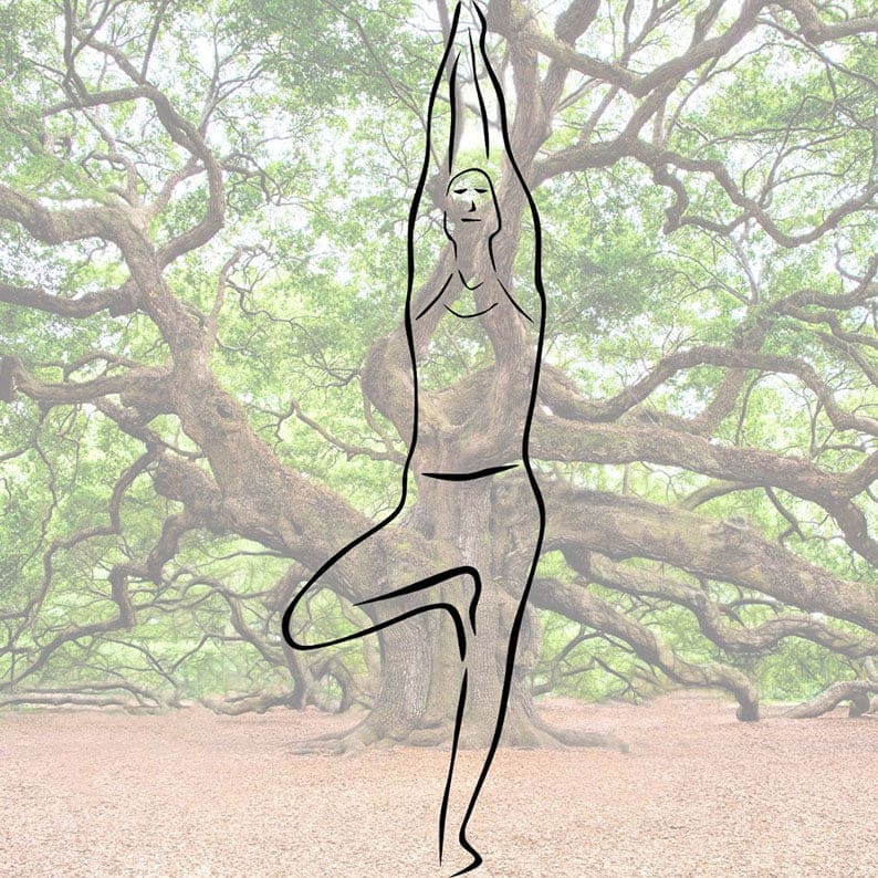 Yoga IYENGAR Barcelona-Centre ZAMA IOGA IYENGAR Les Corts