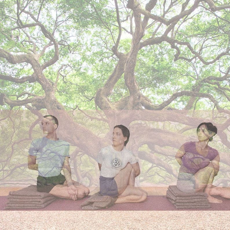 Yoga IYENGAR Barcelona-Centre ZAMA IOGA IYENGAR Les Corts