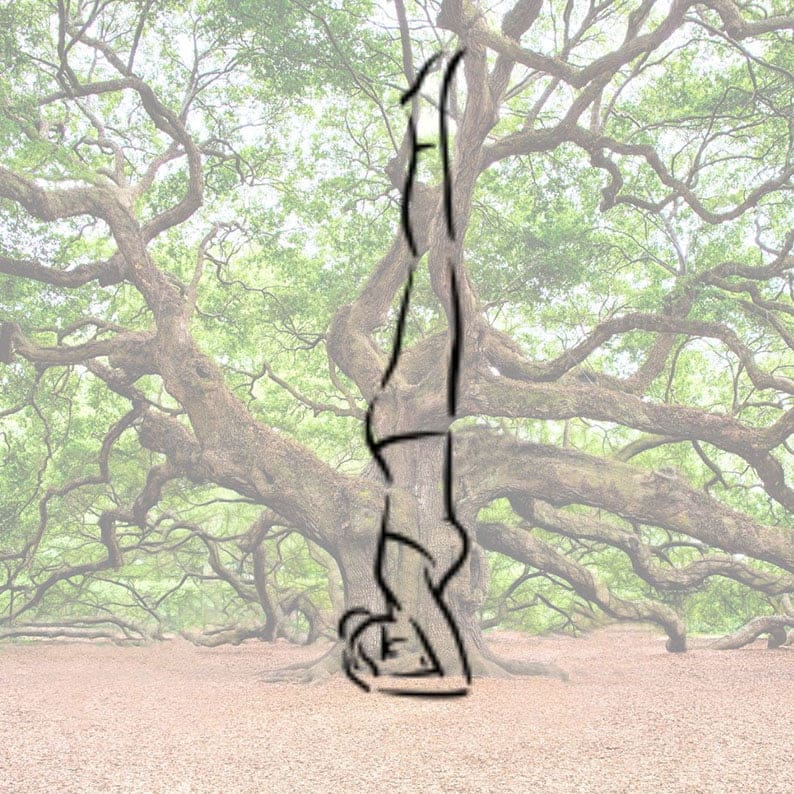 Yoga IYENGAR Barcelona-Centre ZAMA IOGA IYENGAR Les Corts