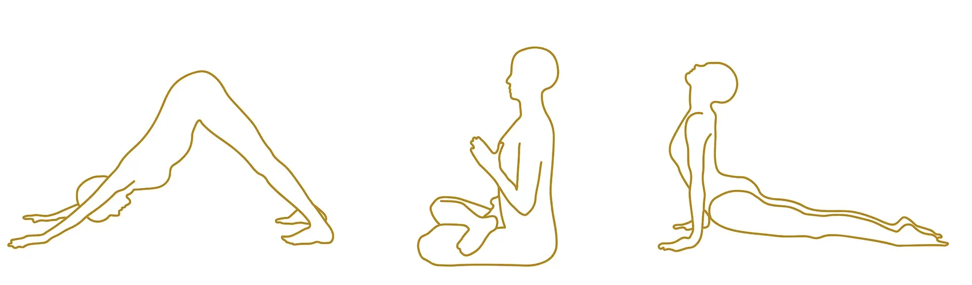 IOGA IYENGAR®: HATHA IOGA, RAJA IOGA I VINYASA IOGA A BARCELONA